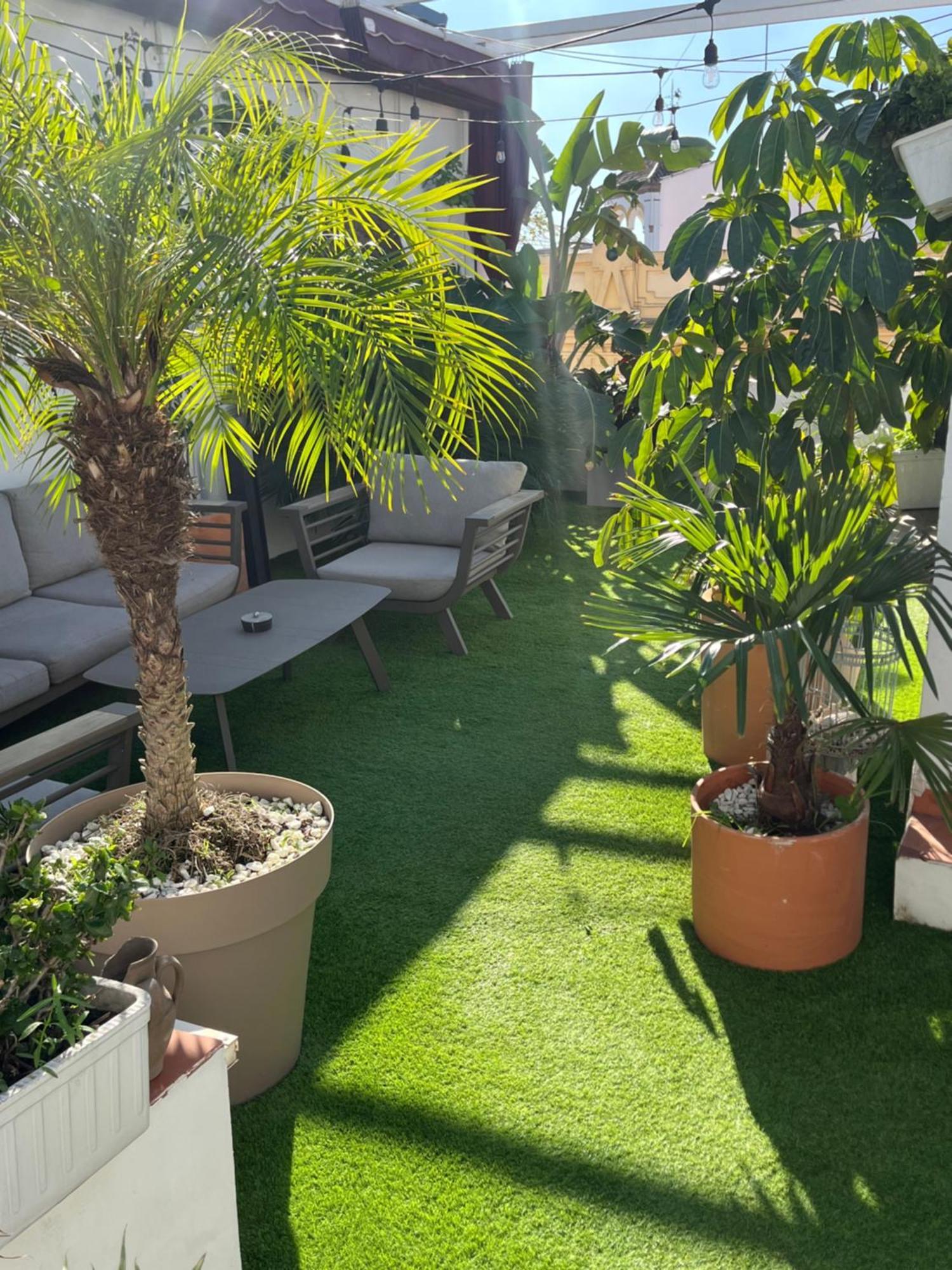 Atico Suite Con Terraza Totalmente Privada En Pleno Centro Historico De Sevilla מראה חיצוני תמונה